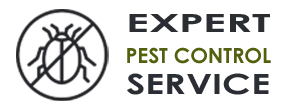 Pest Control Exterminator  Plantation FL